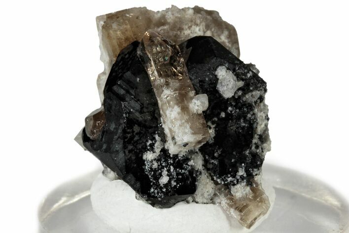 Lustrous Bixbyite on Champagne Topaz - Utah #309338